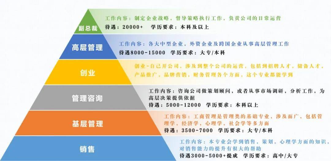 工商企業管理專業 聚焦企業管理咨詢的職業路徑解析